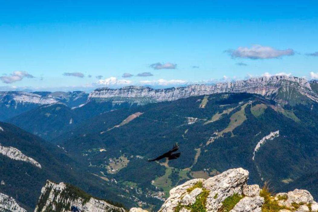 Le Mas Dauphinois Le Grand-Lemps Extérieur photo